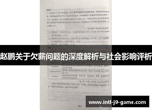 赵鹏关于欠薪问题的深度解析与社会影响评析