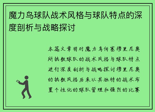 魔力鸟球队战术风格与球队特点的深度剖析与战略探讨