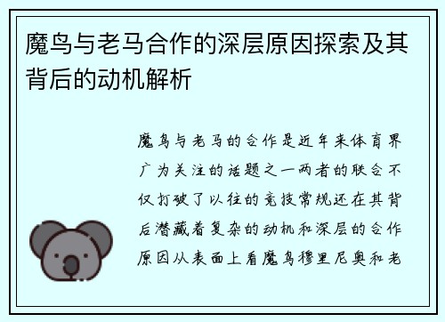 魔鸟与老马合作的深层原因探索及其背后的动机解析